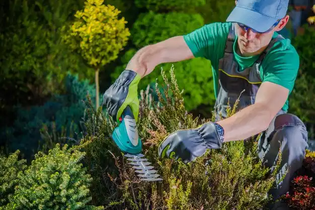 landscaping services Greendale